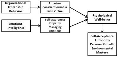 Nexus between organizational citizenship behavior and psychological wellbeing: emotional intelligence as a pathway